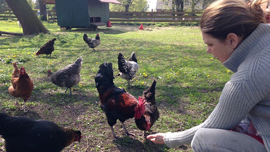 Sarah Wiener füttert Hühner © Sarah Wiener (privat)
