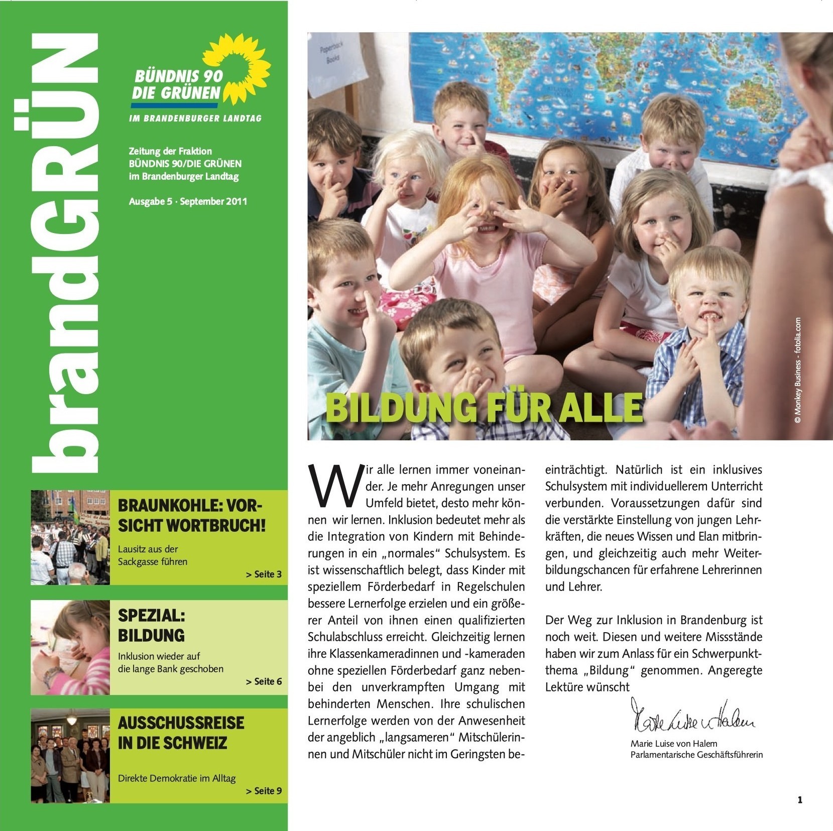 Cover der brandGrün 05