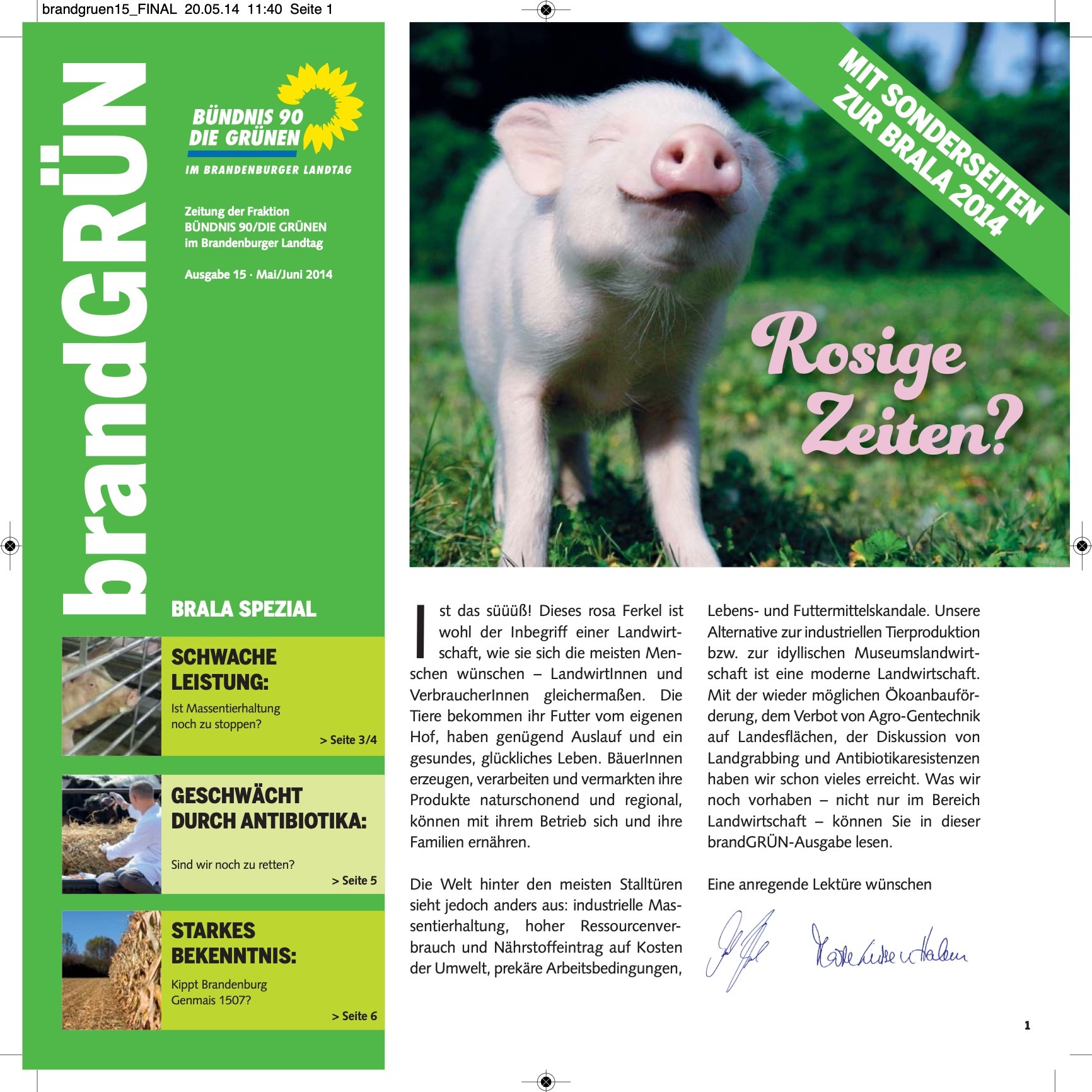 Cover der brandGrün 15