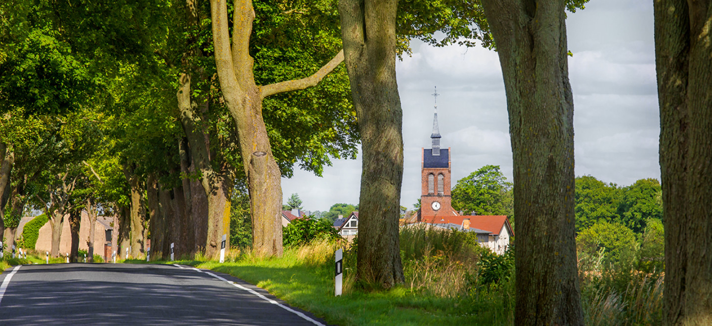 eine Allee mit alten Bäumen und die Kirche eines Dorfes im Land Brandenburg