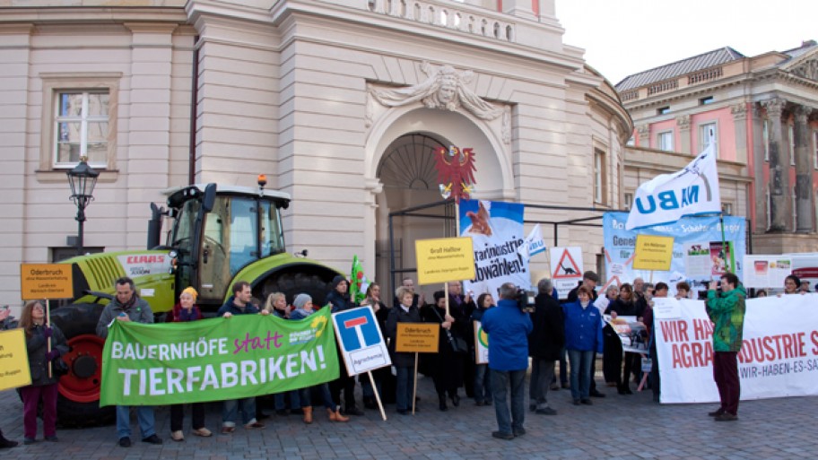 Demo gegen Massentierhaltung am 14.1.2015 vor dem Landtag © Janosch Raßmann / Fraktion Bündnis 90/Die Grünen im Brandenburger Landtag