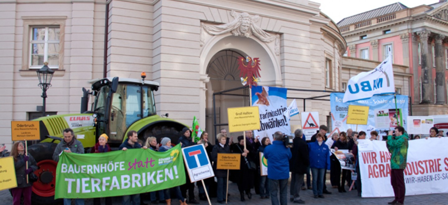 Demo gegen Massentierhaltung am 14.1.2015 vor dem Landtag © Janosch Raßmann / Fraktion Bündnis 90/Die Grünen im Brandenburger Landtag