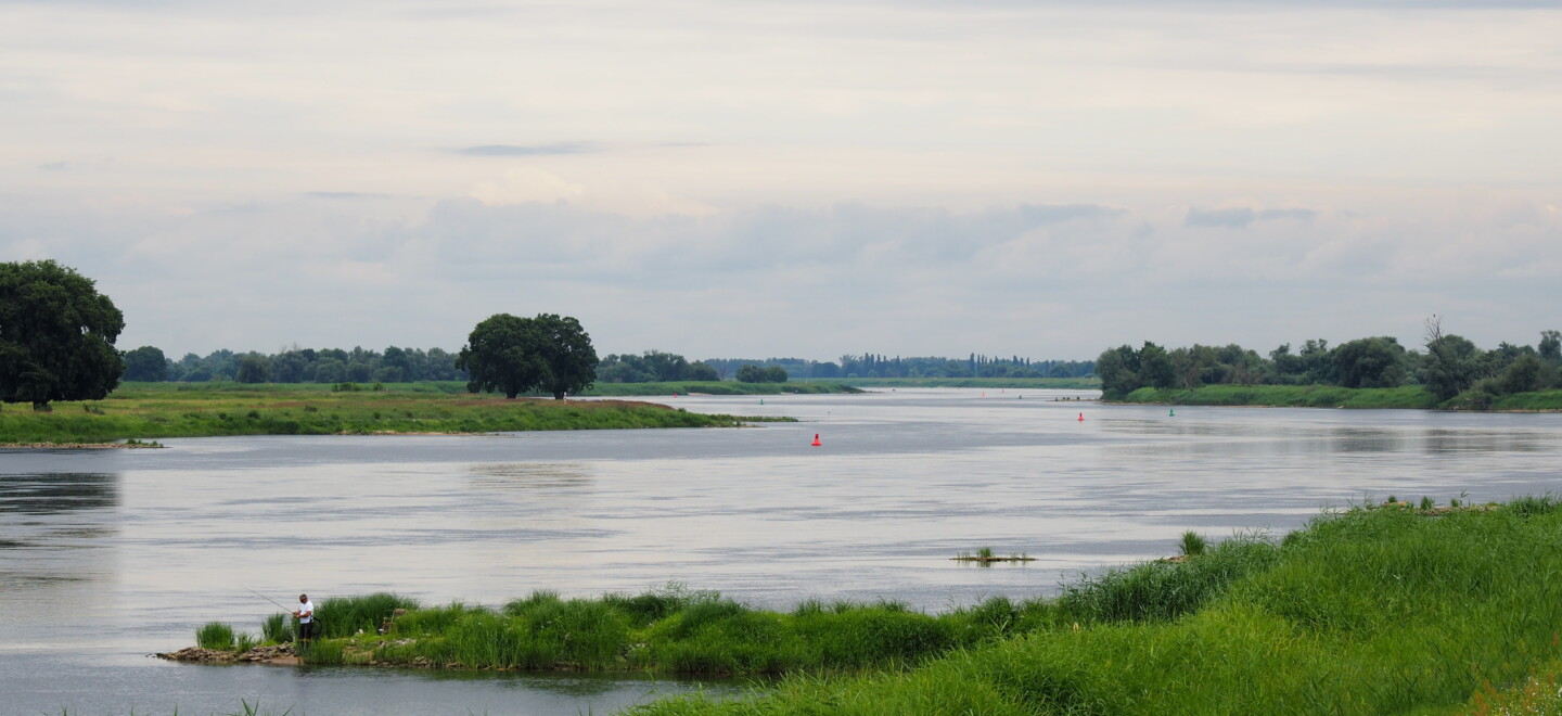 Ufer der Oder